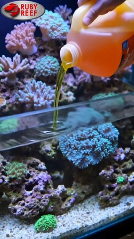 Ruby Reef treatment being poured into the aquarium